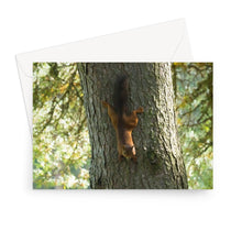 Load image into Gallery viewer, Mission Impossible Red Squirrel Greeting Card
