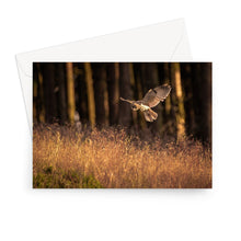 Load image into Gallery viewer, Golden Long Eared Owl Greeting Card
