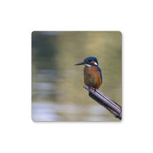 Load image into Gallery viewer, Kingfisher Coaster
