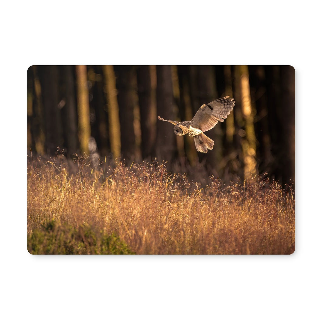 Golden Long Eared Owl Placemat