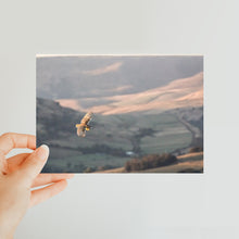 Load image into Gallery viewer, Barn Owl over the Peaks Classic Postcard
