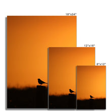 Load image into Gallery viewer, Sunset Tweet Fine Art Print
