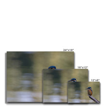 Load image into Gallery viewer, Kingfisher Canvas
