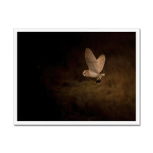 Load image into Gallery viewer, Hibou Framed Print
