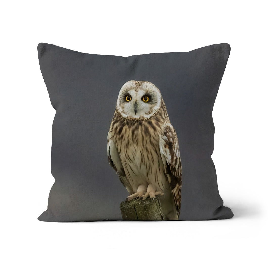 Short Eared Owl Cushion