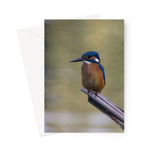 Load image into Gallery viewer, Kingfisher Greeting Card
