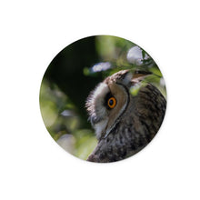 Load image into Gallery viewer, Long Eared Owl Glass Chopping Board
