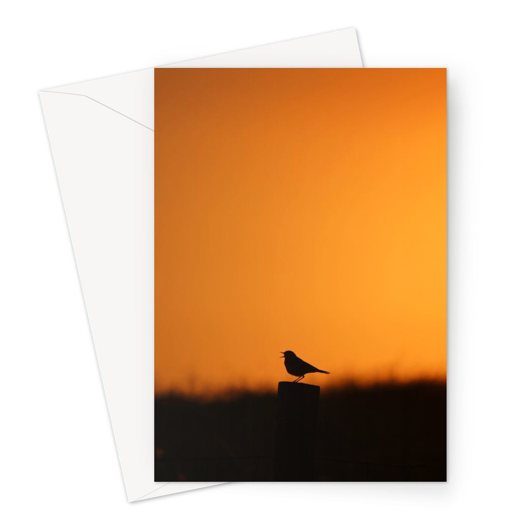 Sunset Tweet Greeting Card