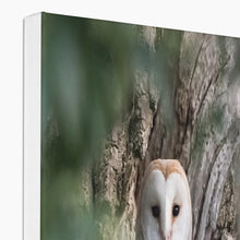 Load image into Gallery viewer, Owl In Hollow Canvas
