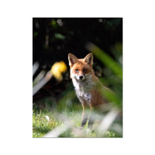 Load image into Gallery viewer, Foxy Fine Art Print
