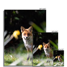 Load image into Gallery viewer, Foxy Fine Art Print
