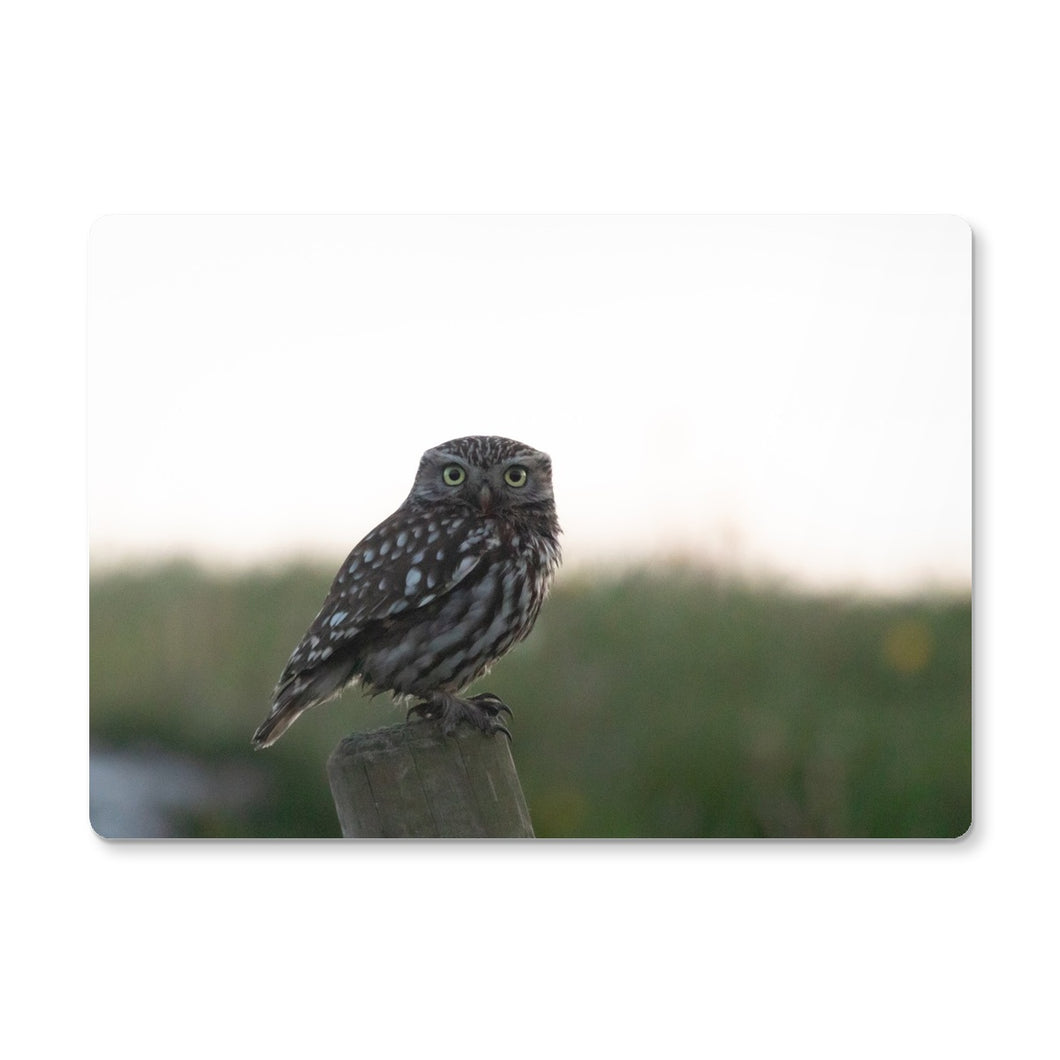 Little Owl Placemat