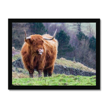 Load image into Gallery viewer, Raspberry Cow Framed Print
