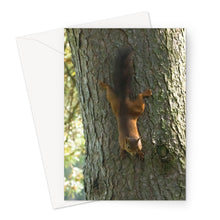 Load image into Gallery viewer, Mission Impossible Red Squirrel Greeting Card
