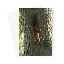 Load image into Gallery viewer, Mission Impossible Red Squirrel Greeting Card
