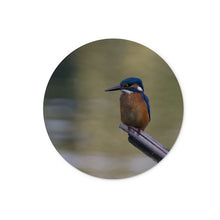 Load image into Gallery viewer, Kingfisher Glass Chopping Board
