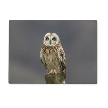 Load image into Gallery viewer, Short Eared Owl Glass Chopping Board
