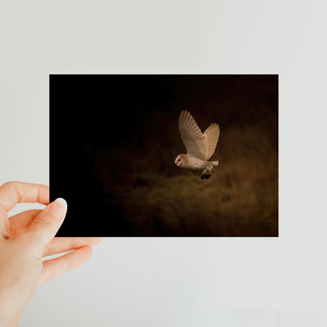 Hibou Classic Postcard