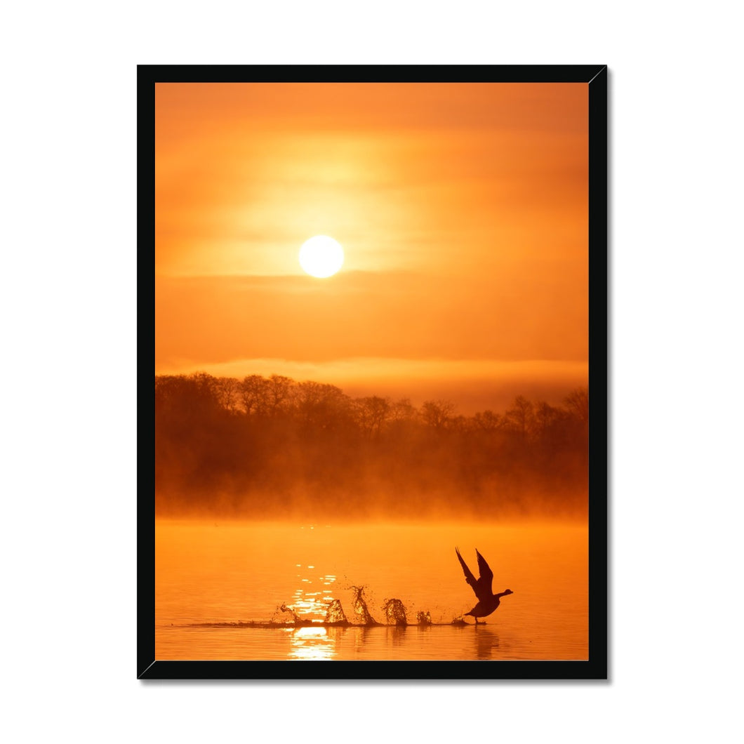 Hop Skip and Jump Framed Print