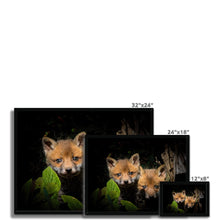 Load image into Gallery viewer, Fox Cubs Framed Print
