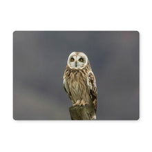 Load image into Gallery viewer, Short Eared Owl Placemat
