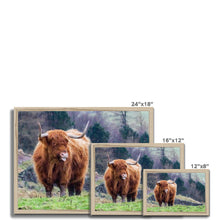 Load image into Gallery viewer, Raspberry Cow Framed Print
