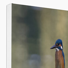 Load image into Gallery viewer, Kingfisher Canvas
