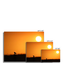 Load image into Gallery viewer, Sunset Tweet Fine Art Print
