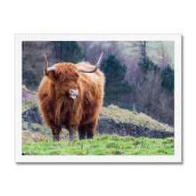 Load image into Gallery viewer, Raspberry Cow Framed Print
