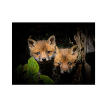 Load image into Gallery viewer, Fox Cubs Fine Art Print
