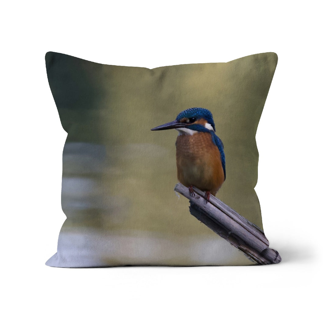 Kingfisher Cushion