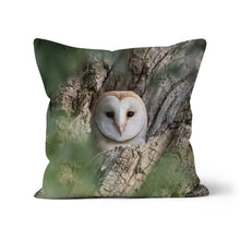 Load image into Gallery viewer, Owl In Hollow Cushion
