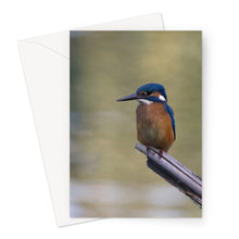 Load image into Gallery viewer, Kingfisher Greeting Card
