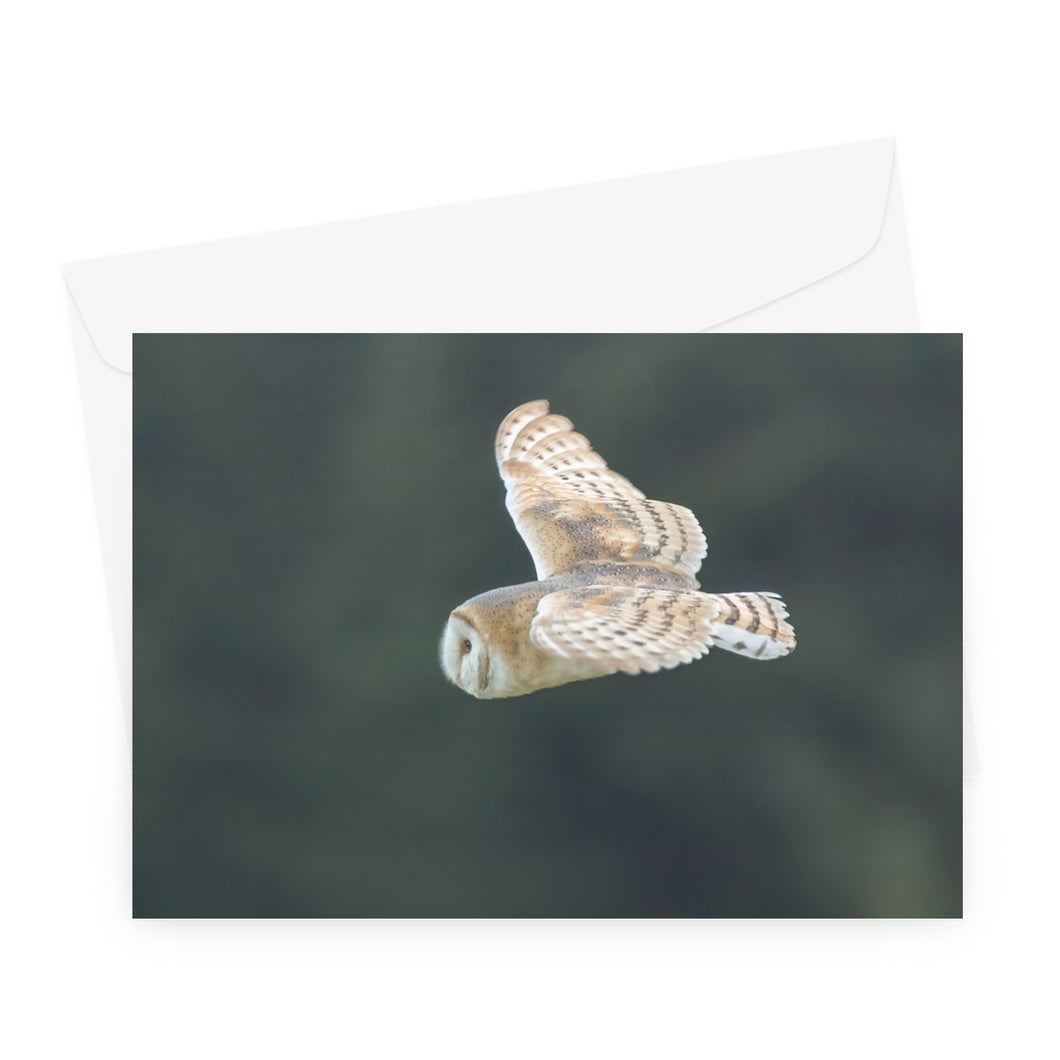 Barn Owl putting on a show Greeting Card