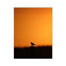 Load image into Gallery viewer, Sunset Tweet Fine Art Print
