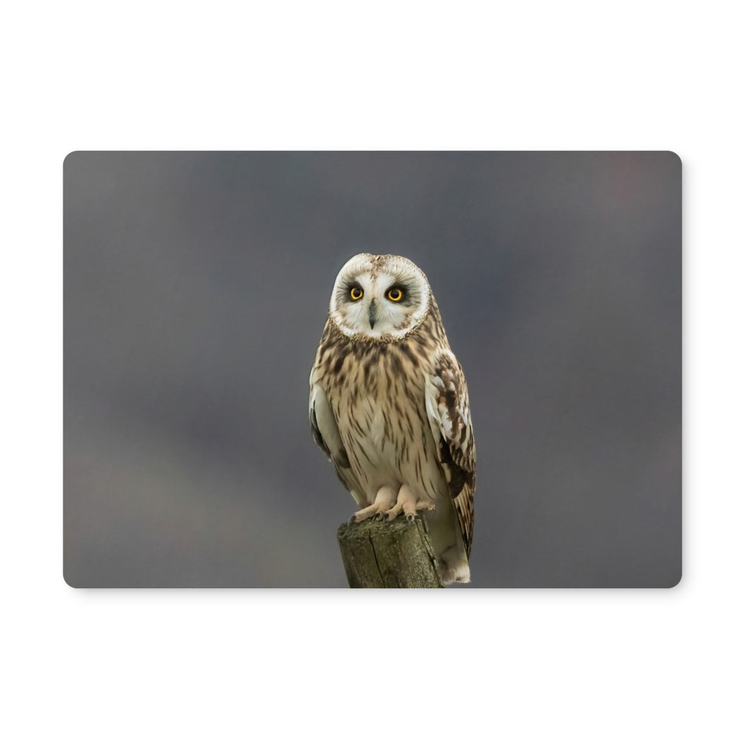 Short Eared Owl Placemat