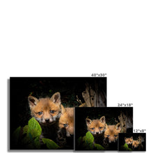 Load image into Gallery viewer, Fox Cubs Fine Art Print
