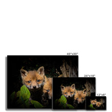 Load image into Gallery viewer, Fox Cubs Canvas
