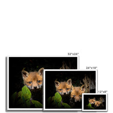 Load image into Gallery viewer, Fox Cubs Framed Print
