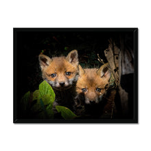 Load image into Gallery viewer, Fox Cubs Framed Print
