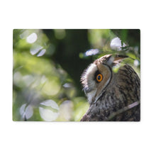 Load image into Gallery viewer, Long Eared Owl Glass Chopping Board
