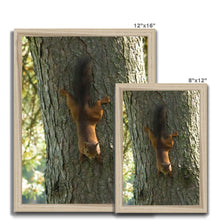 Load image into Gallery viewer, Mission Impossible Red Squirrel Framed Print
