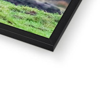 Load image into Gallery viewer, Raspberry Cow Framed Print
