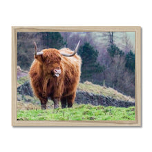 Load image into Gallery viewer, Raspberry Cow Framed Print
