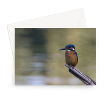 Load image into Gallery viewer, Kingfisher Greeting Card
